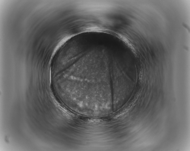 X0000096211323200802081452