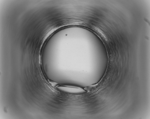 X0000096211324200802081452