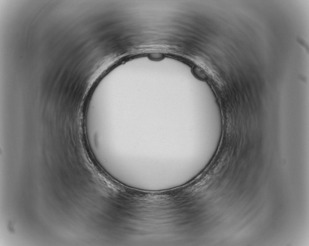 X0000096211325200802081452