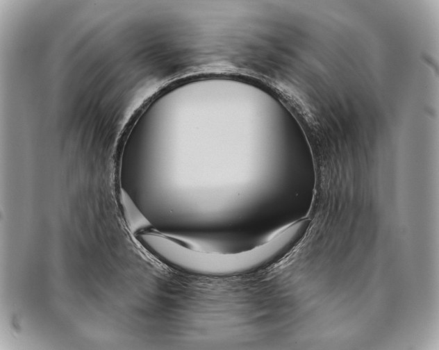 X0000096211326200802081452