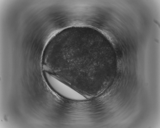 X0000096211327200802081452