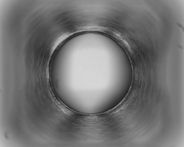 X0000096211328200802081452