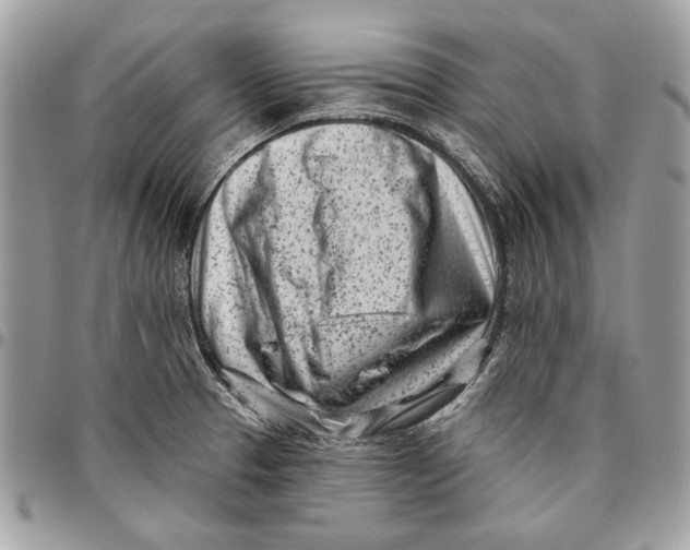 X0000096211329200802081452