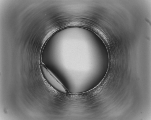 X0000096211330200802081452