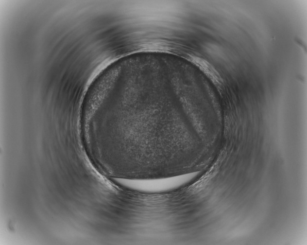 X0000096211331200802081452