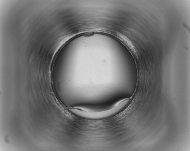 X0000096211332200802081452