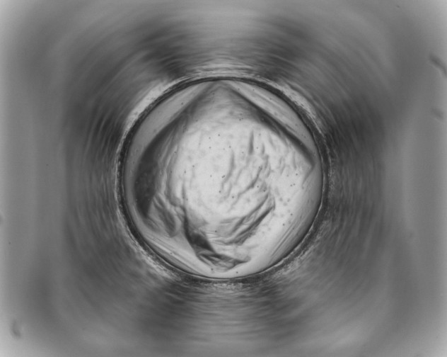 X0000096211333200802081452