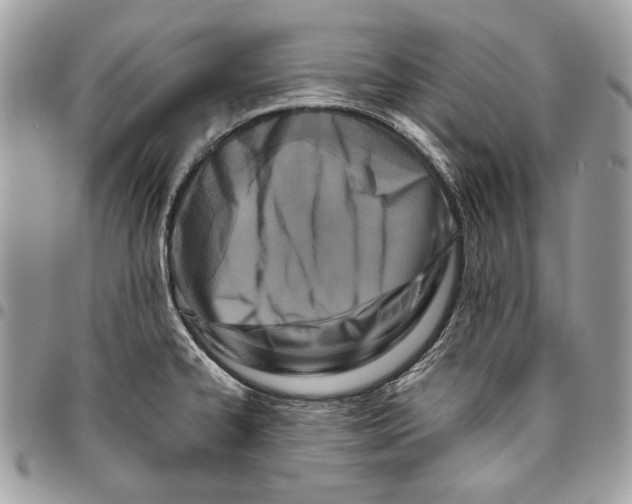 X0000096211334200802081452