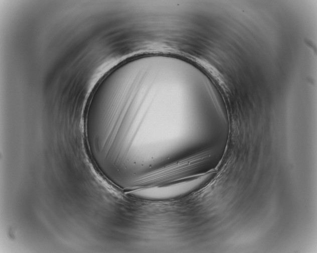 X0000096211335200802081452