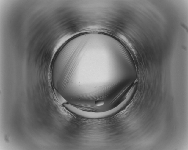 X0000096211336200802081452