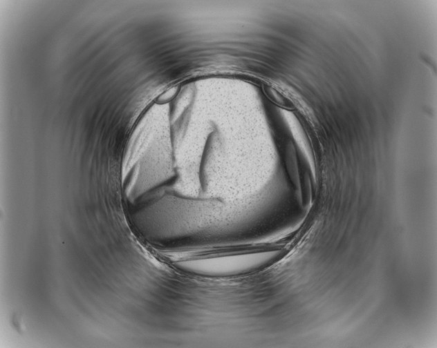 X0000096211337200802081452