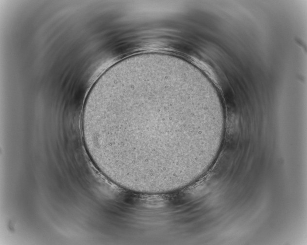 X0000096211338200802081452