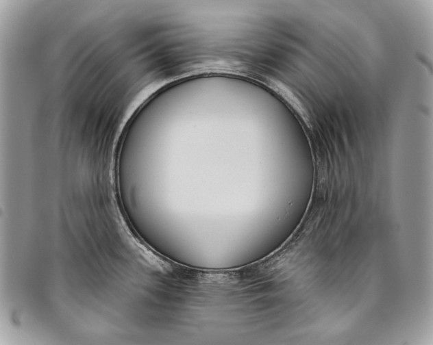 X0000096211339200802081452