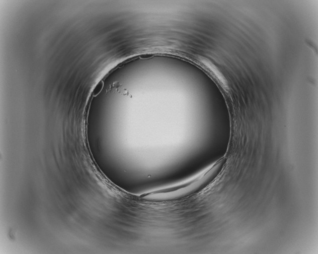 X0000096211340200802081452