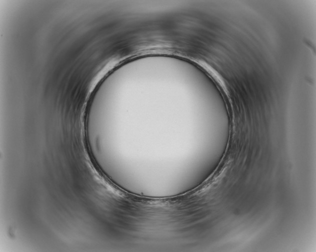 X0000096211341200802081452