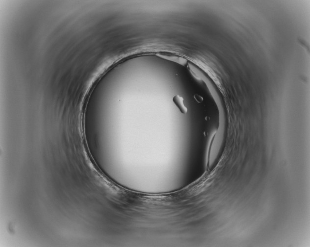 X0000096211342200802081452