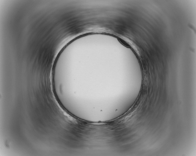 X0000096211343200802081452