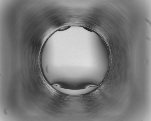 X0000096211344200802081452