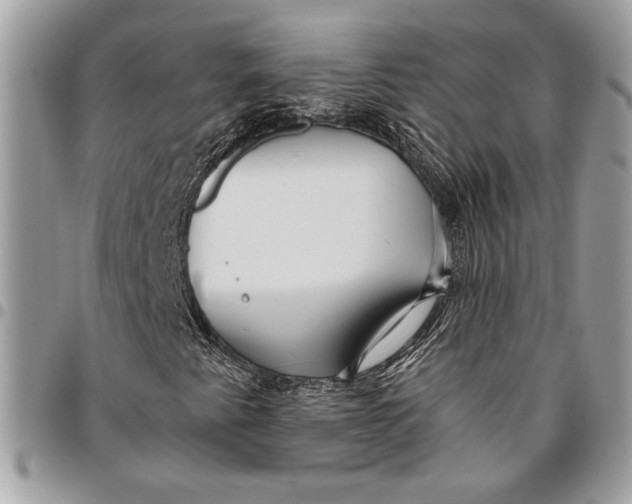 X0000096211345200802081452