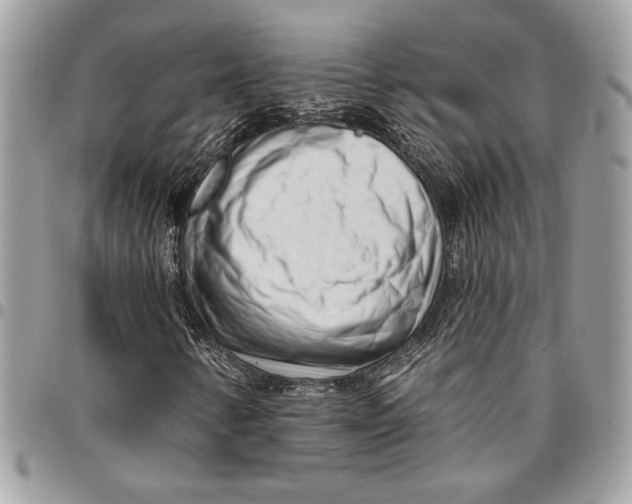 X0000096211346200802081452