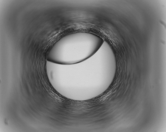 X0000096211348200802081452