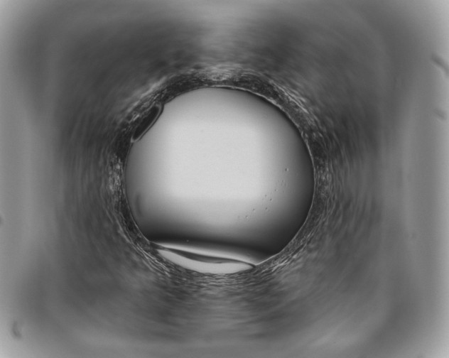 X0000096211349200802081452