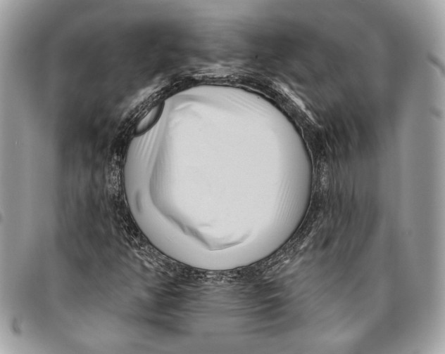 X0000096211350200802081452