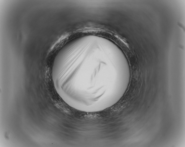 X0000096211351200802081452