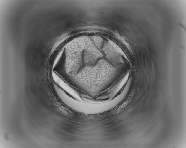 X0000096211352200802081452