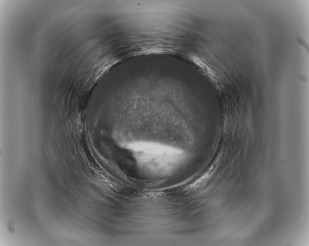 X0000096211353200802081452