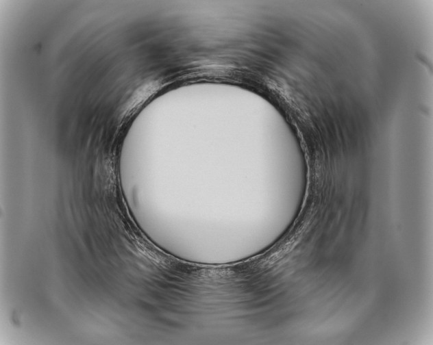 X0000096211354200802081452