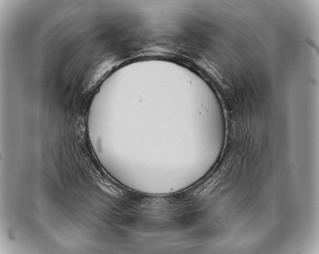 X0000096211355200802081452