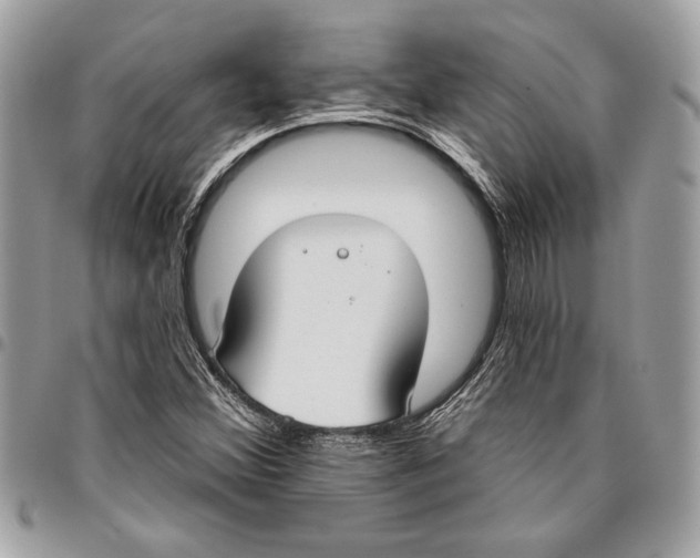 X0000096211356200802081452