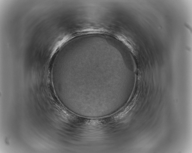 X0000096211357200802081452