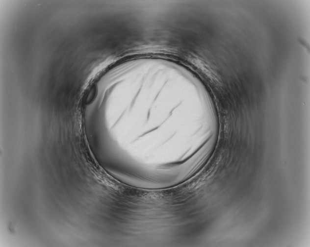 X0000096211358200802081452