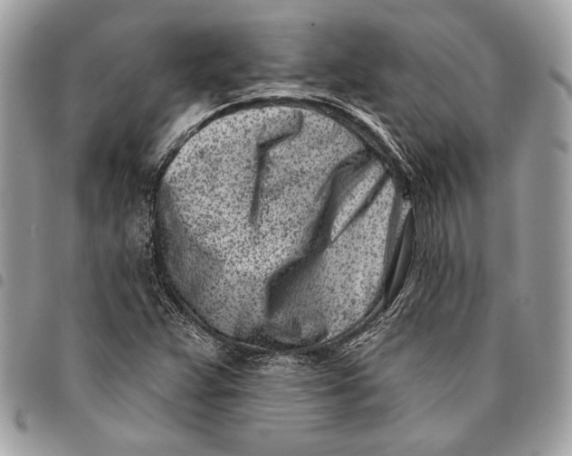 X0000096211359200802081452