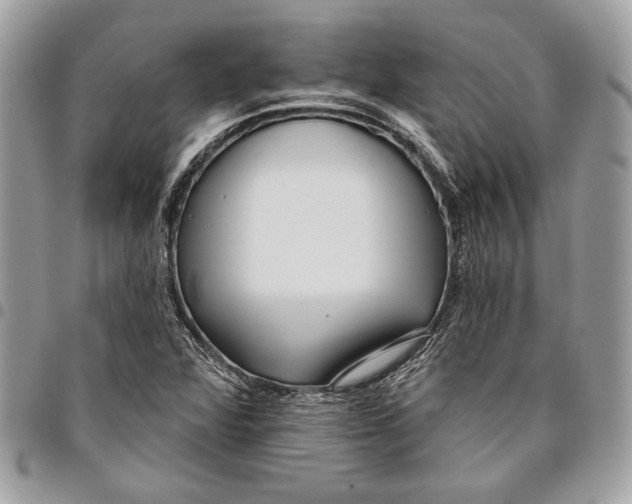 X0000096211360200802081452