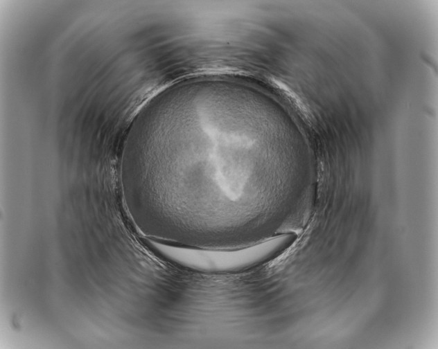 X0000096211361200802081452