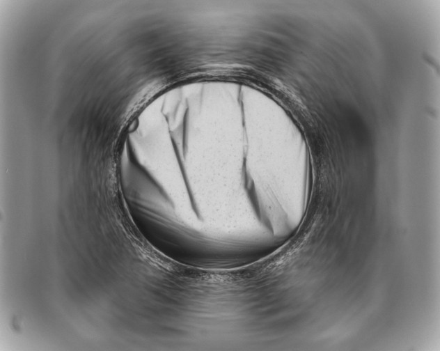 X0000096211362200802081452