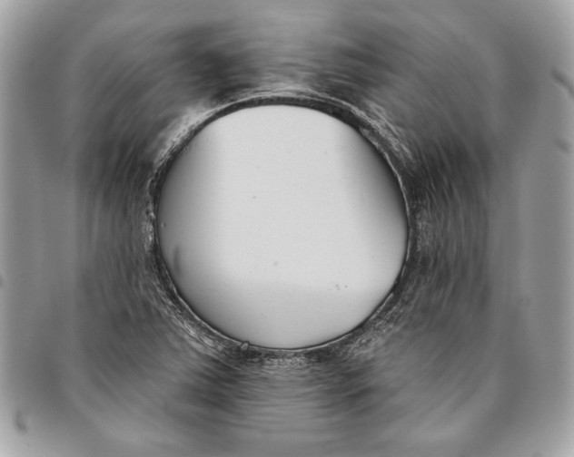 X0000096211363200802081452