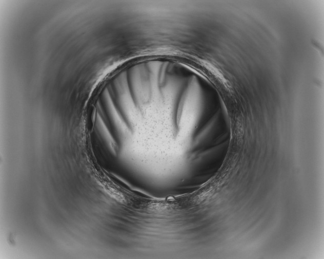 X0000096211364200802081452