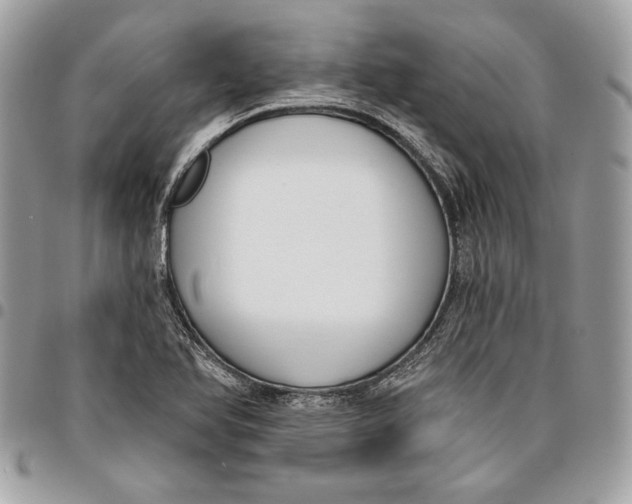 X0000096211366200802081452