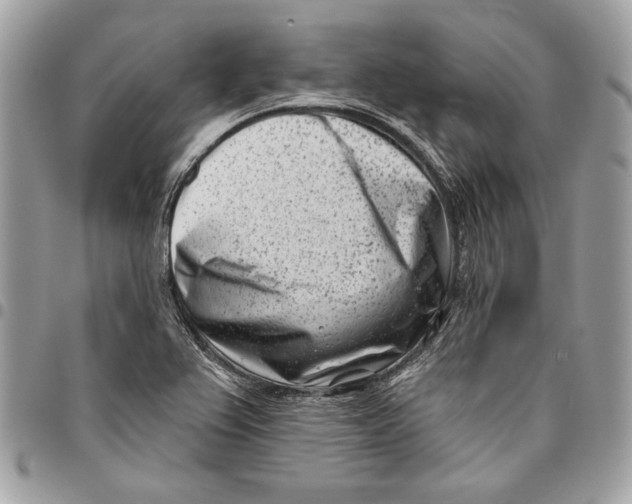 X0000096211367200802081451