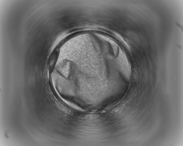 X0000096211368200802081451