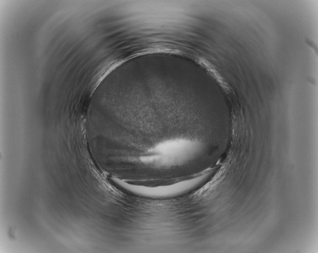 X0000096211369200802081451