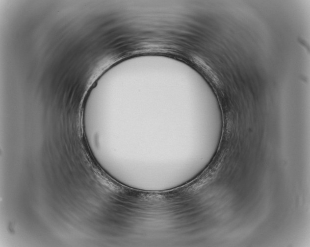 X0000096211370200802081451