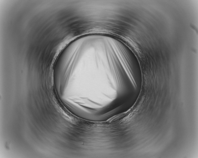 X0000096211371200802081451