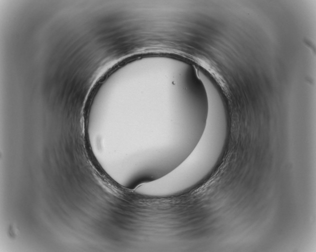 X0000096211372200802081451