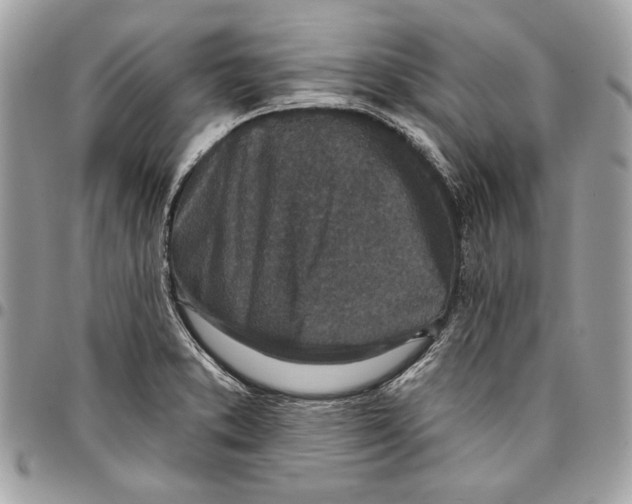 X0000096211373200802081451