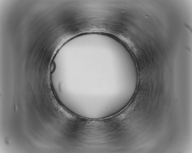 X0000096211374200802081451